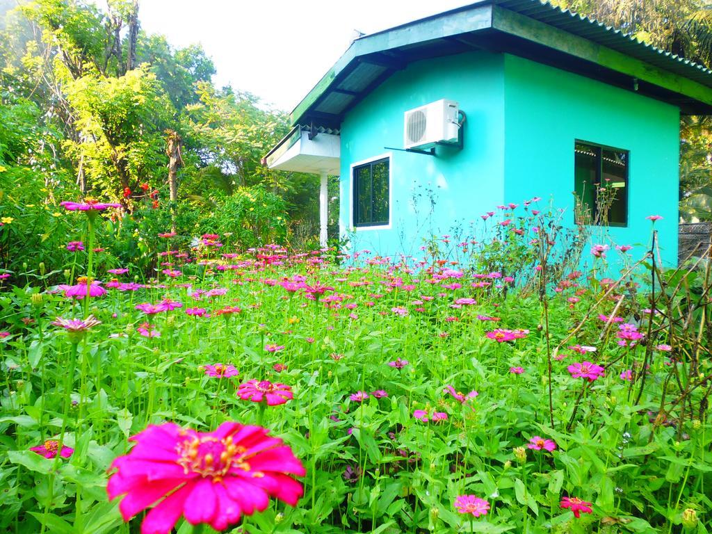 The Nilmini Lodge Sigiriya Cameră foto